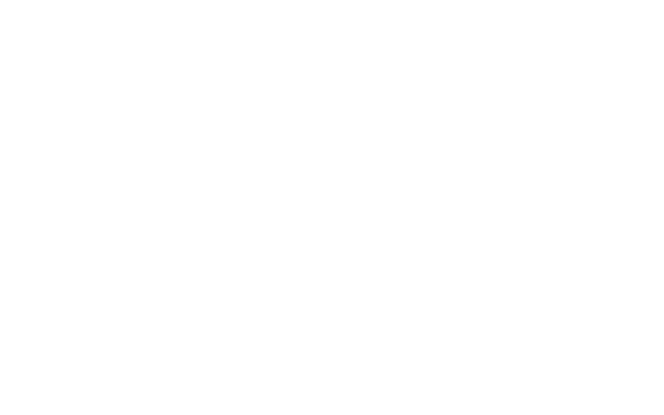 SFA Consultants